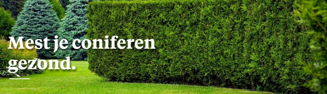 [paste advice page name here]